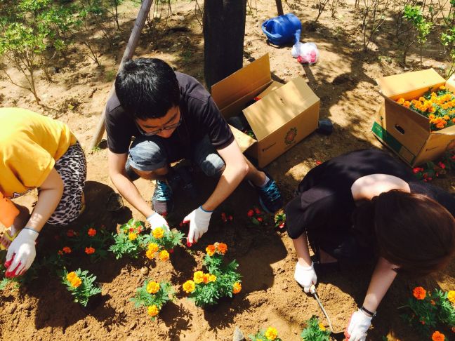 10403821_665248276901401_6343481221373501783_o