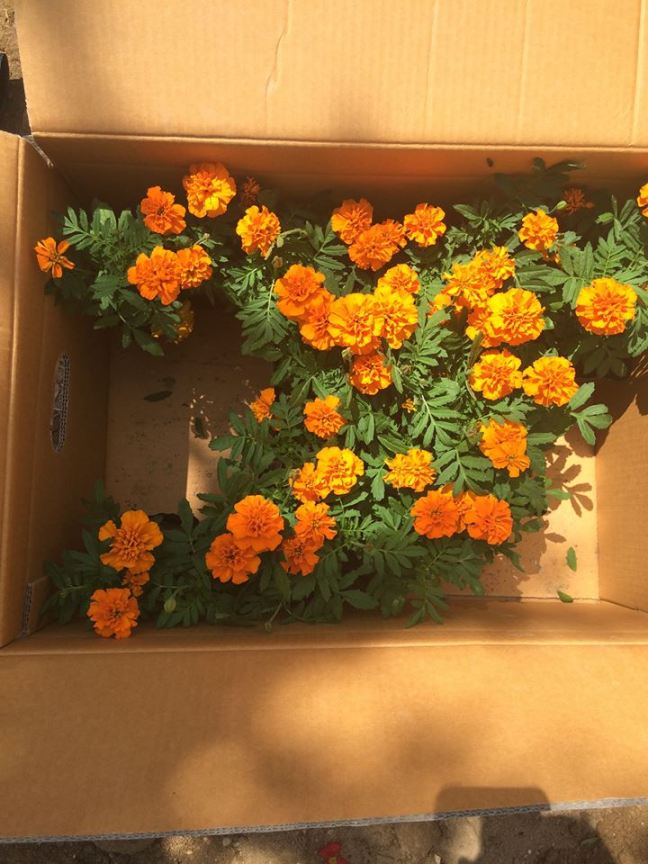 10462877_665248293568066_2351082496891109521_n