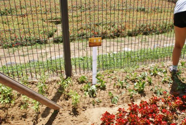 1238099_681728315253397_2847669083792408945_n